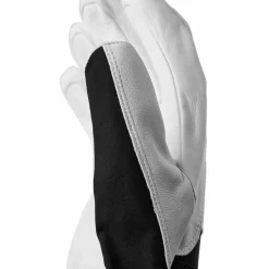 Hestra Army Leather Heli Ski GTX + Gore Gloves