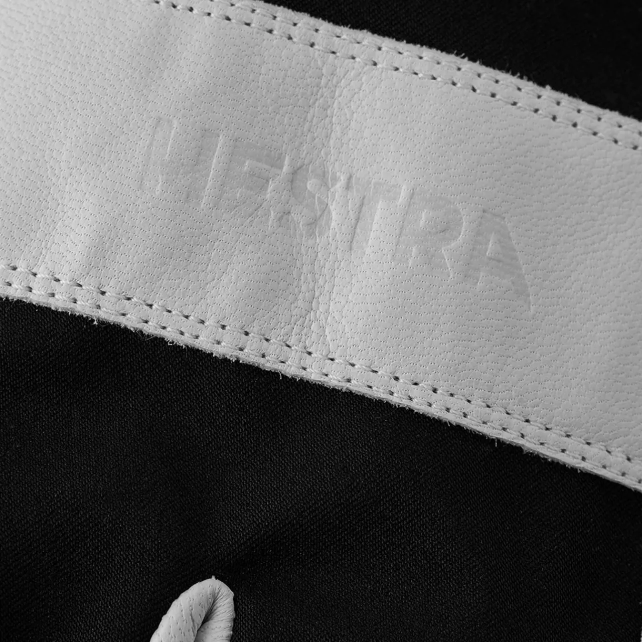 Hestra Army Leather Heli Ski GTX + Gore Gloves