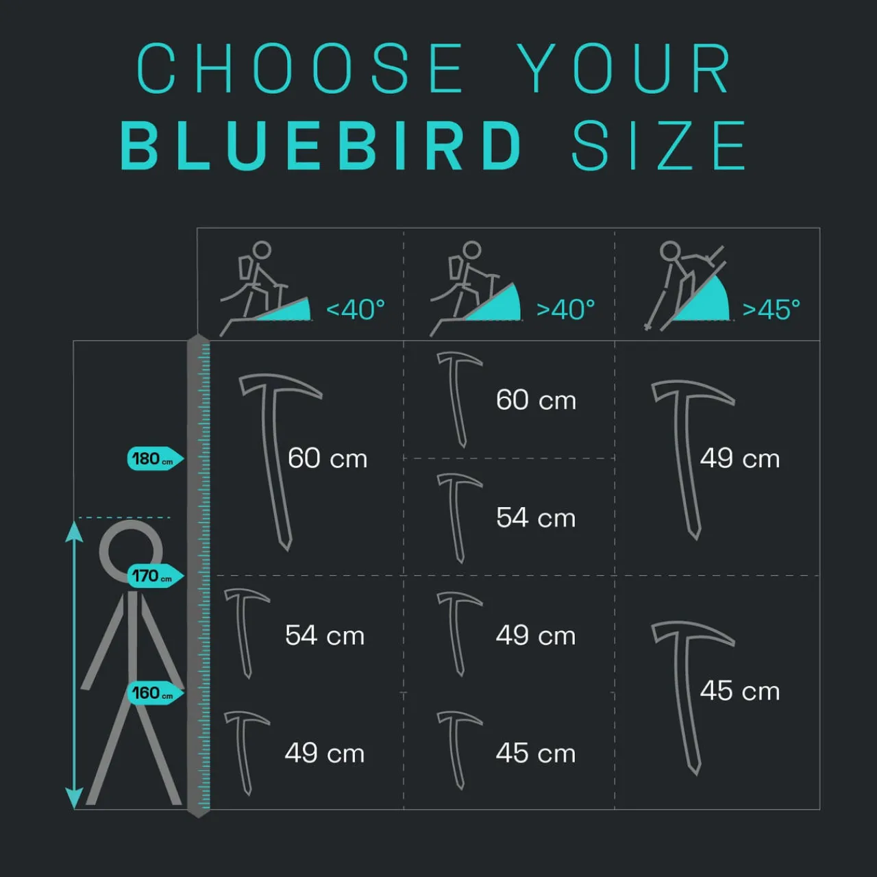 Black Diamond Bluebird Ice Axe