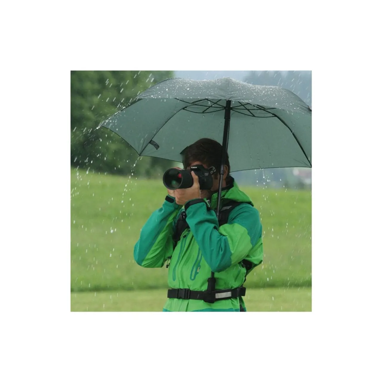 Evernew Carrier System