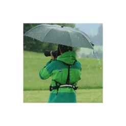 Evernew Carrier System