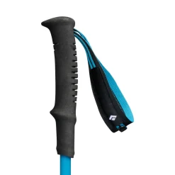 Black Diamond Distance Carbon FLZ Trekking Poles