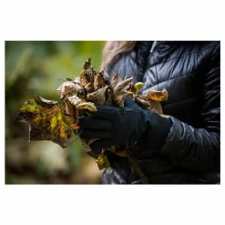 Trekmates Focus Gloves