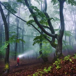 Ledlenser HF8R CORE Rechargeable Head Torch