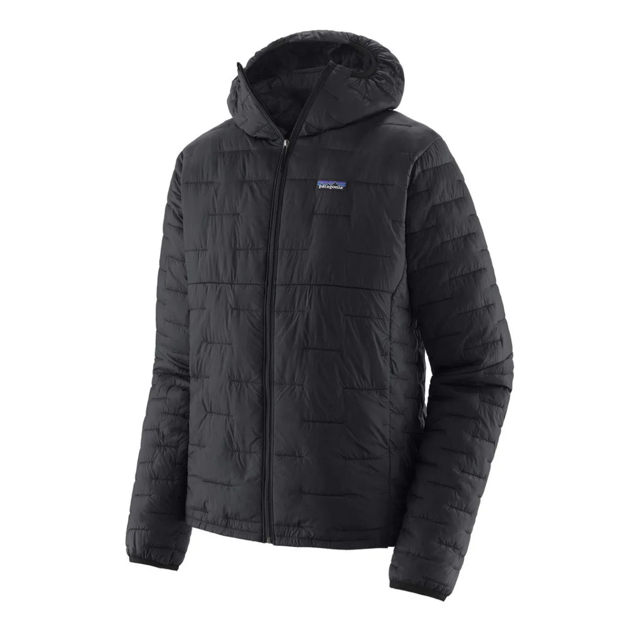 Patagonia Micro Puff Hoody