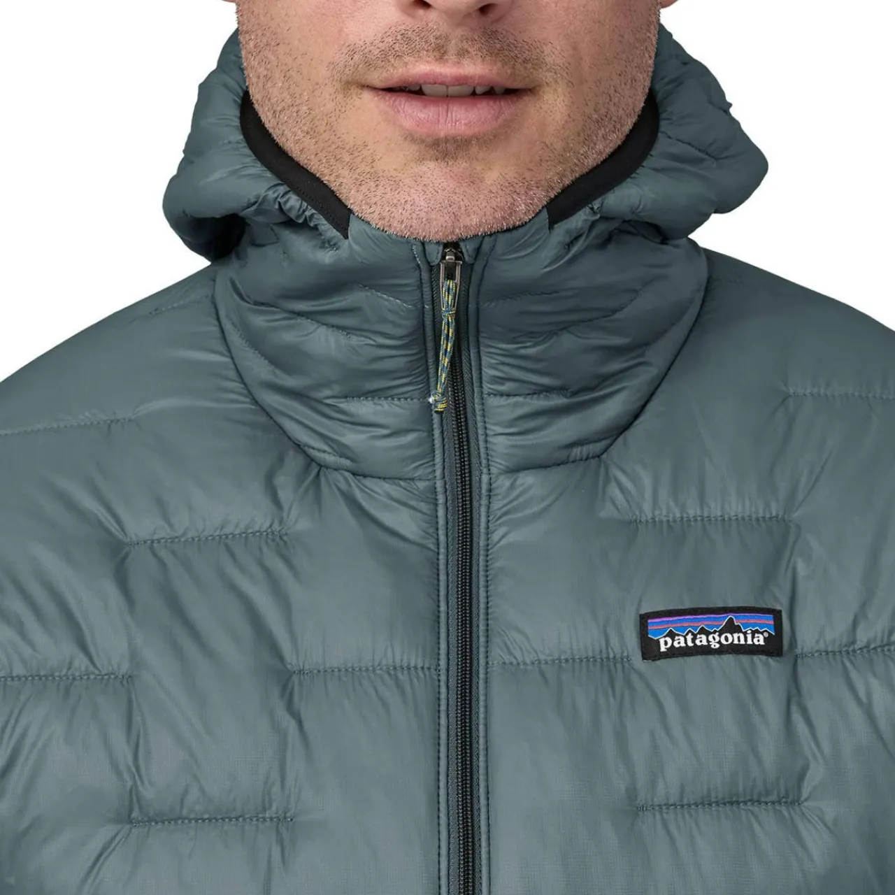 Patagonia Micro Puff Hoody