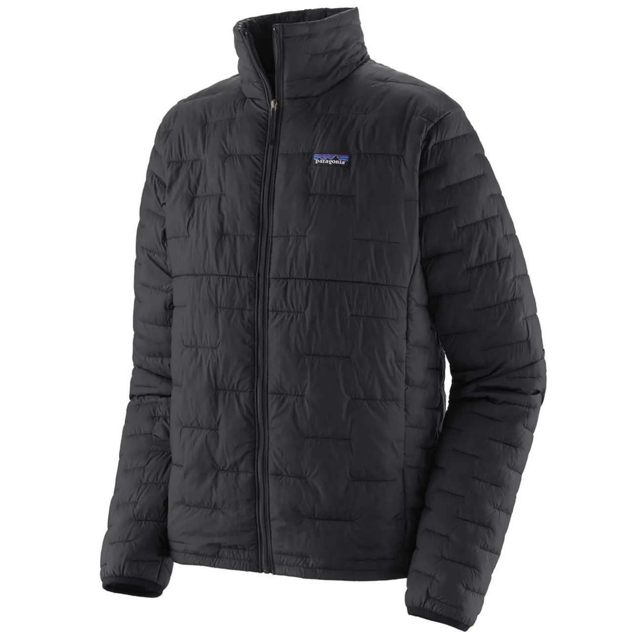 Patagonia Micro Puff Jacket