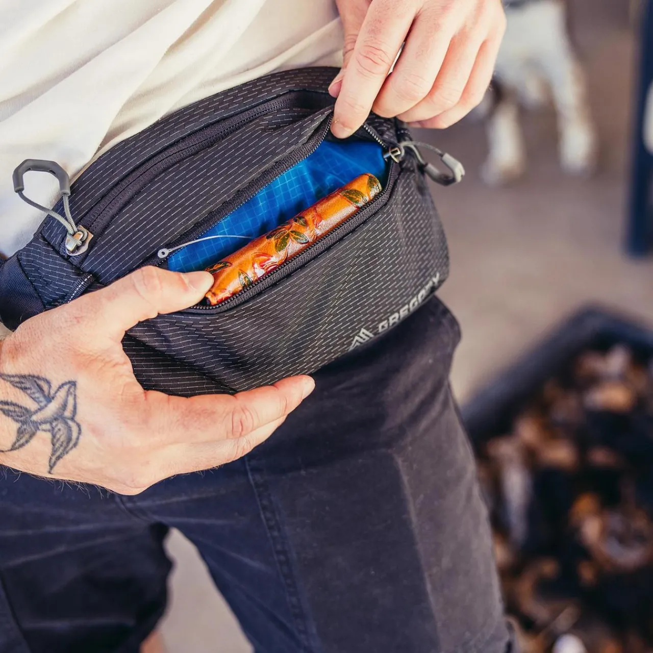 Gregory Nano Waistpack Mini