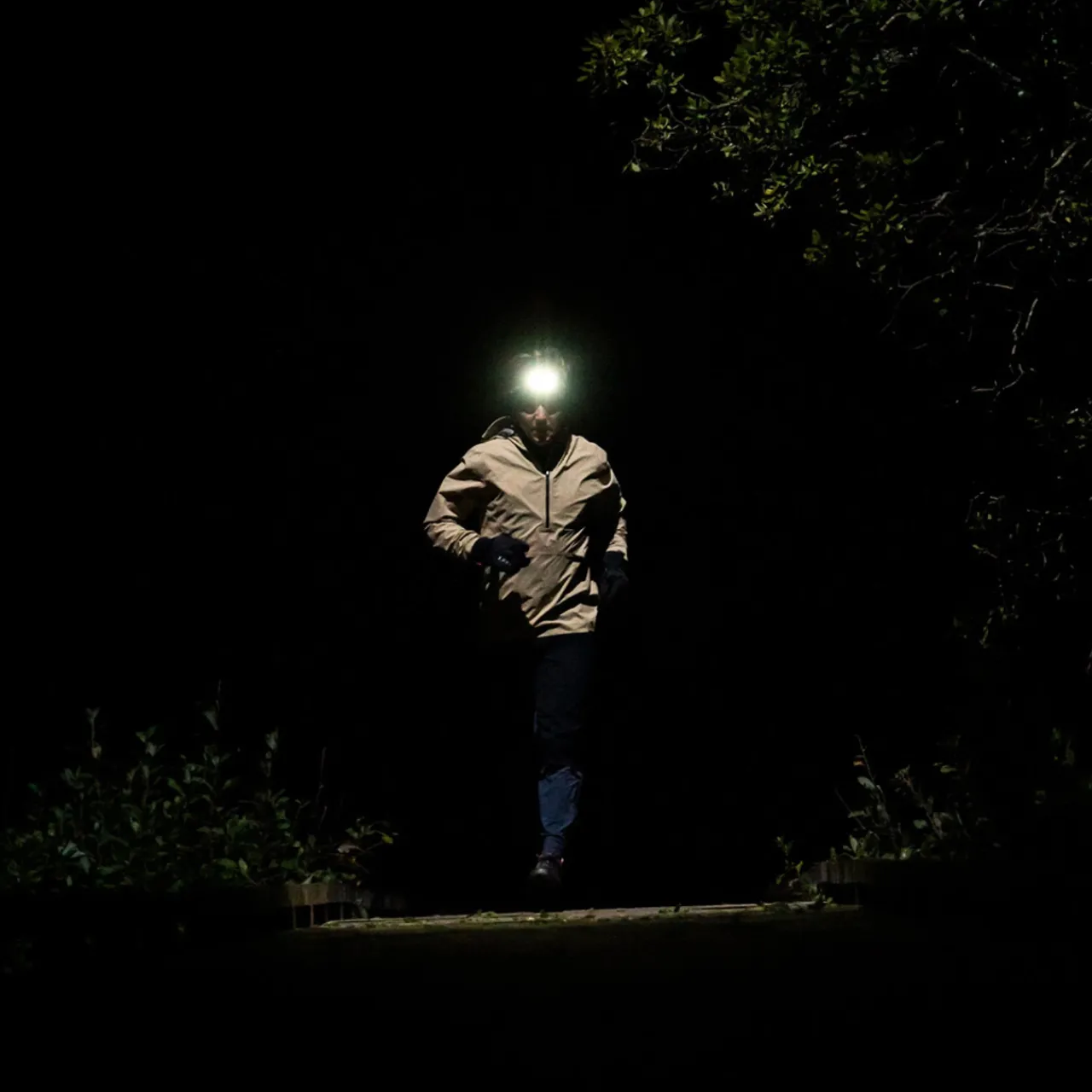 Ledlenser NEO9R Running Head Torch with Chest Strap
