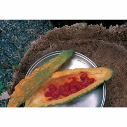 Snow Peak Tableware Plate L