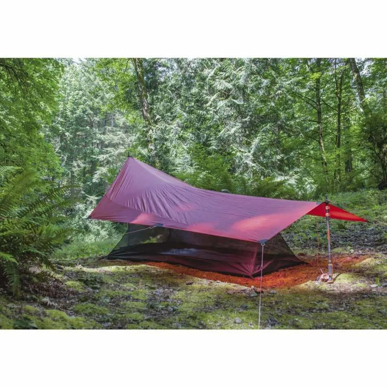 Nordisk Tarp 5