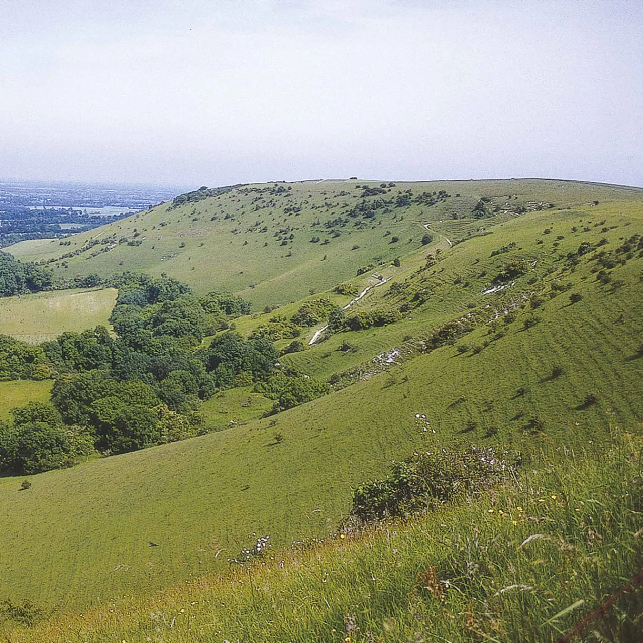 Harvey Maps The South Downs Way 2024