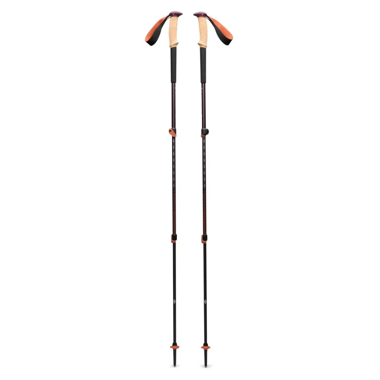 Fizan Trail Cork Trekking Poles