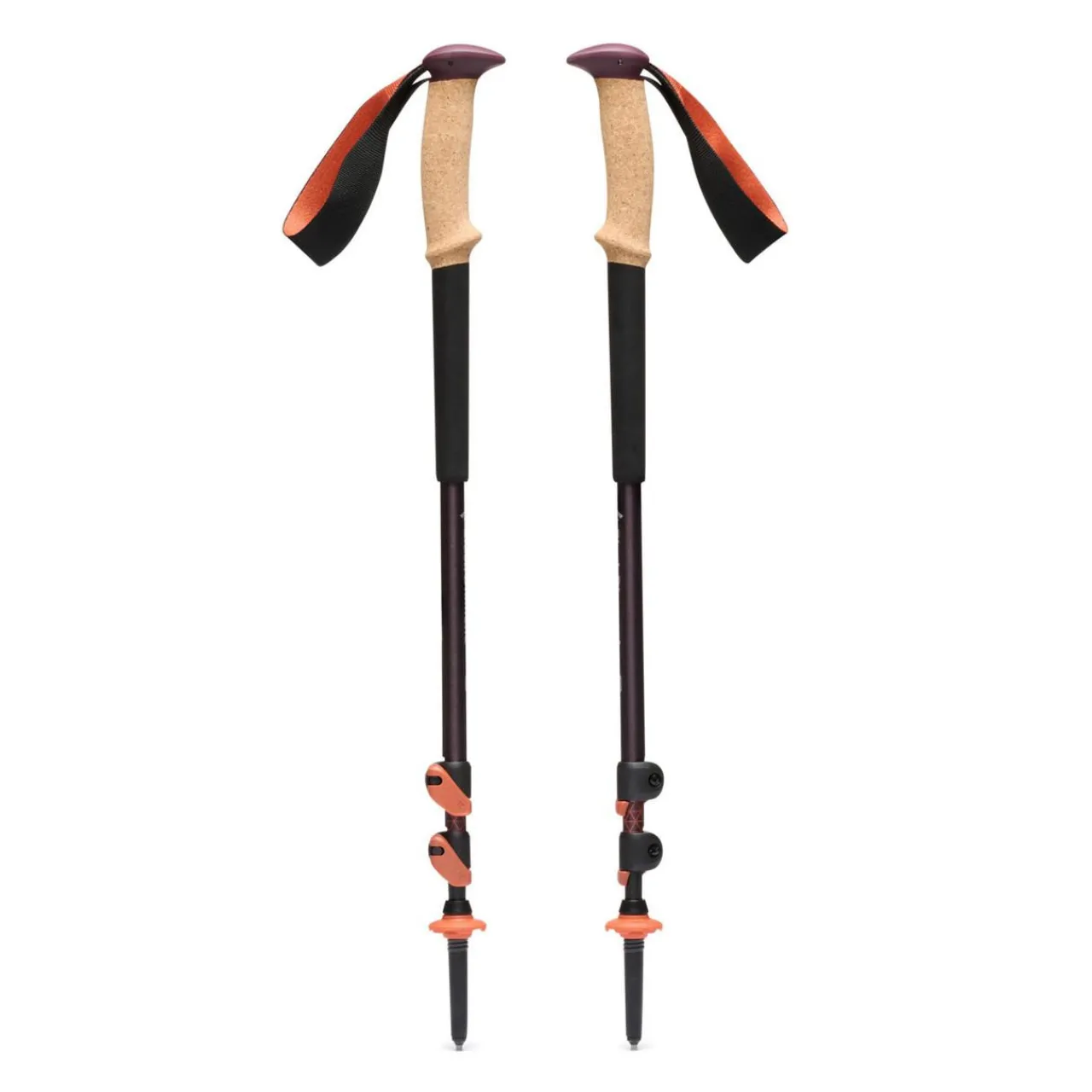 Fizan Trail Cork Trekking Poles