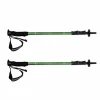 Fizan Trekking Pole (2pcs)
