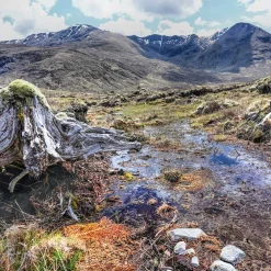Cicerone Walking the Munros Vol 2 - Northern Highlands and the Cairngorms 2024