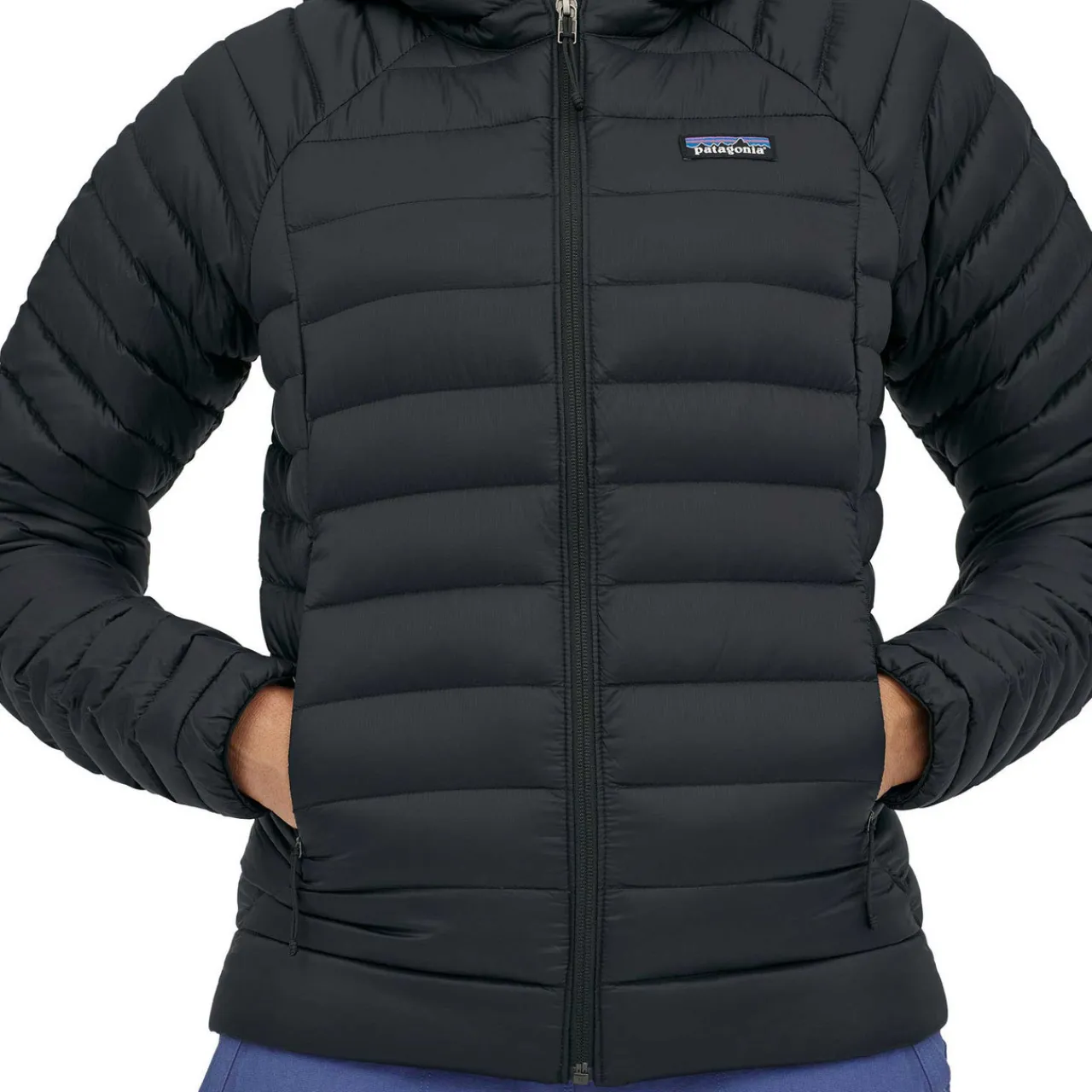 Women Patagonia Womens Down Sweater Hoody