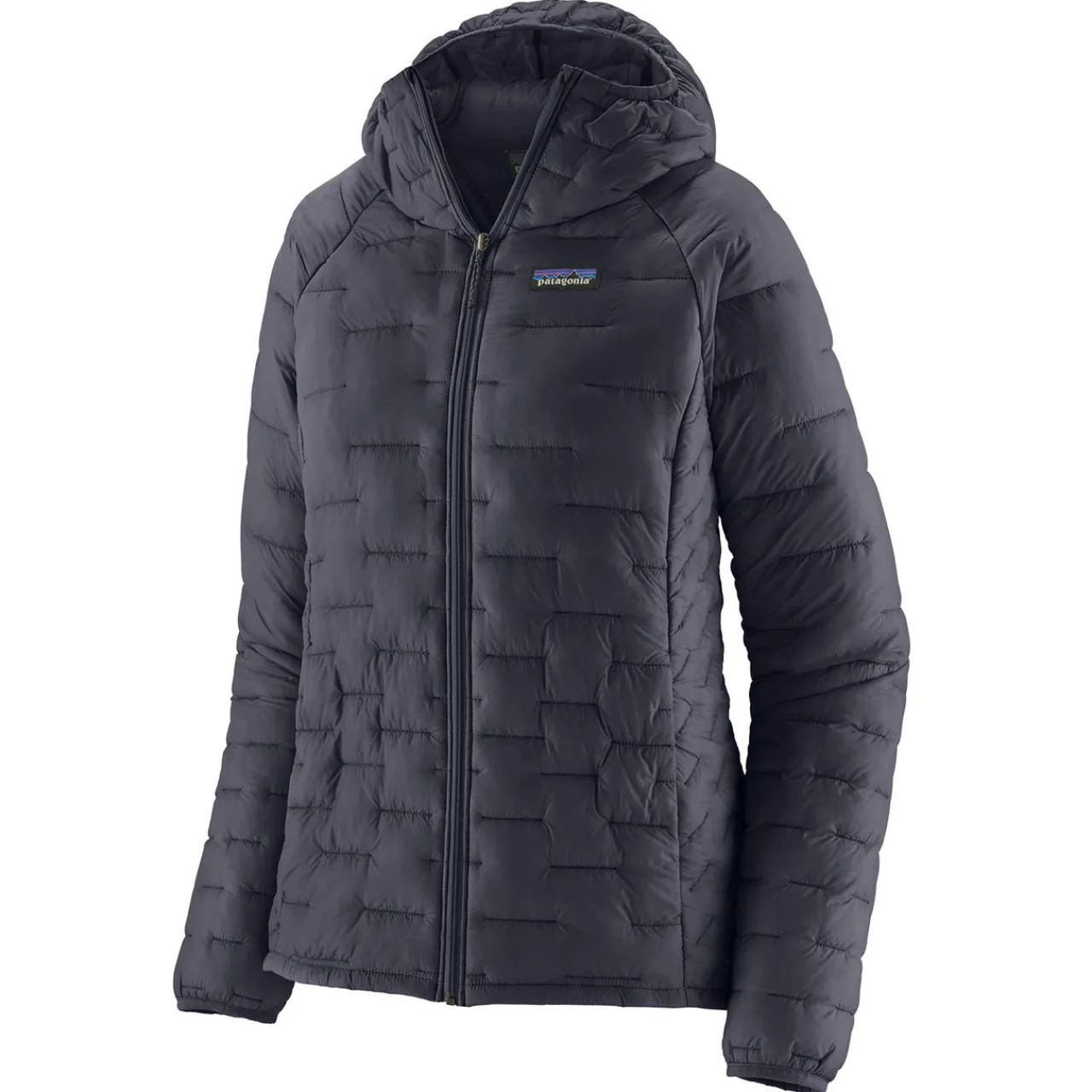 Women Patagonia Womens Micro Puff Hoody - Past Season Colours