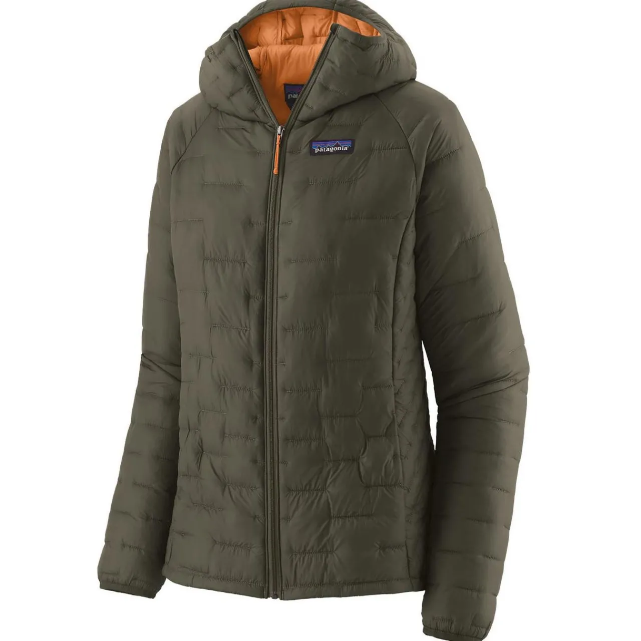 Women Patagonia Womens Micro Puff Hoody - Past Season Colours