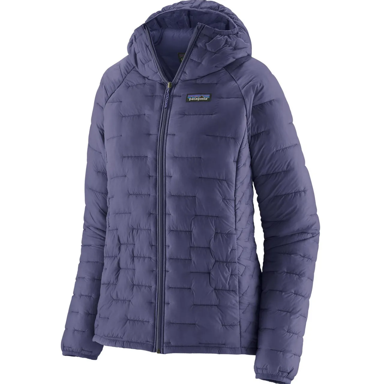 Women Patagonia Womens Micro Puff Hoody - Past Season Colours