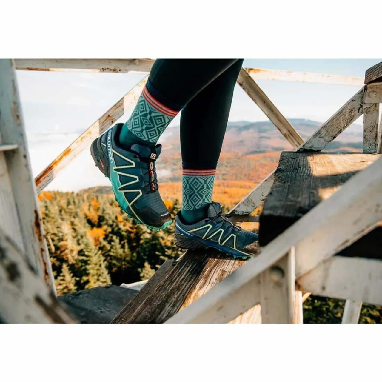 Women Darn Tough Womens Sobo Micro Crew Socks