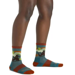 Women Darn Tough Womens Trailblazer Micro Crew Socks