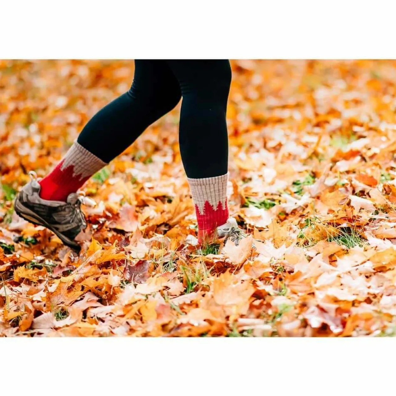 Women Darn Tough Womens Treeline Micro Crew Socks